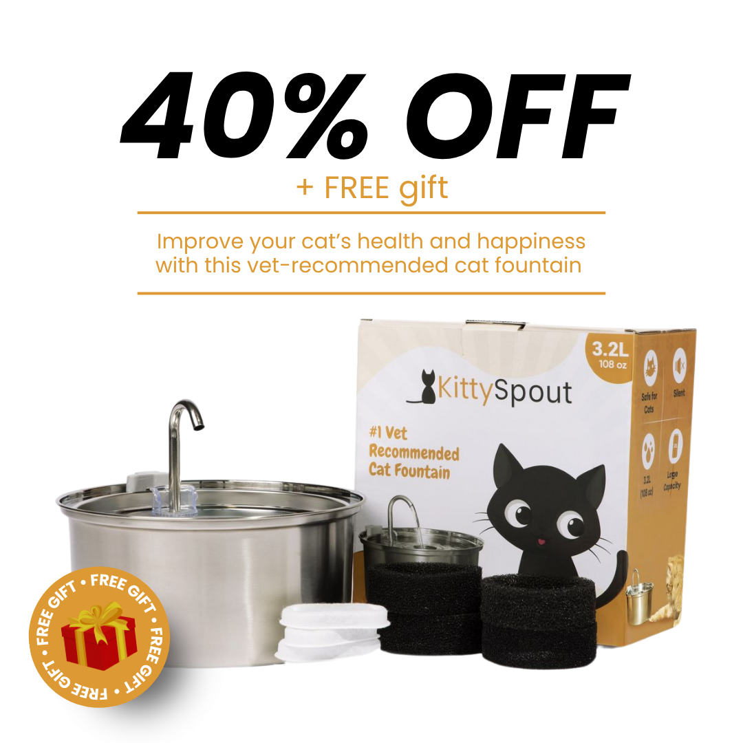 Der KittySpout™ - Gesundheits- und Glückskit für Katzen