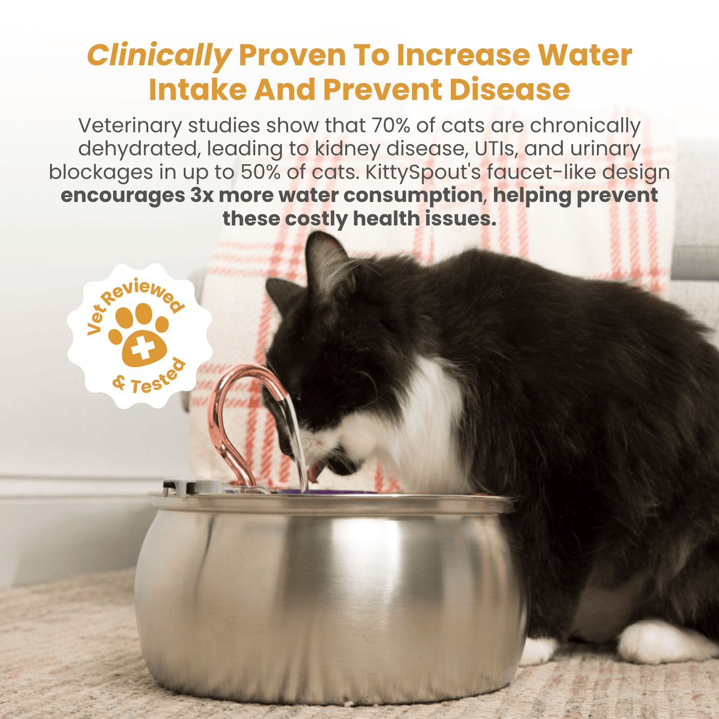 Der KittySpout™ - Gesundheits- und Glückskit für Katzen