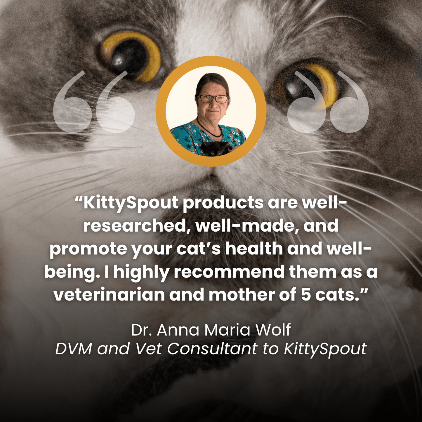 Der KittySpout™ - Gesundheits- und Glückskit für Katzen