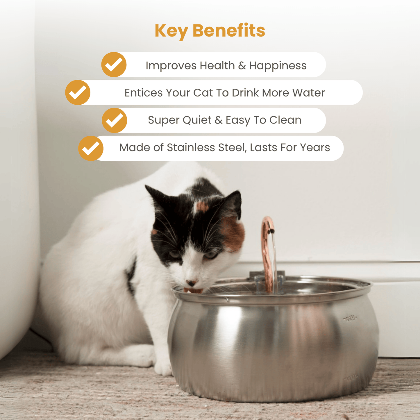 Der KittySpout™ - Gesundheits- und Glückskit für Katzen