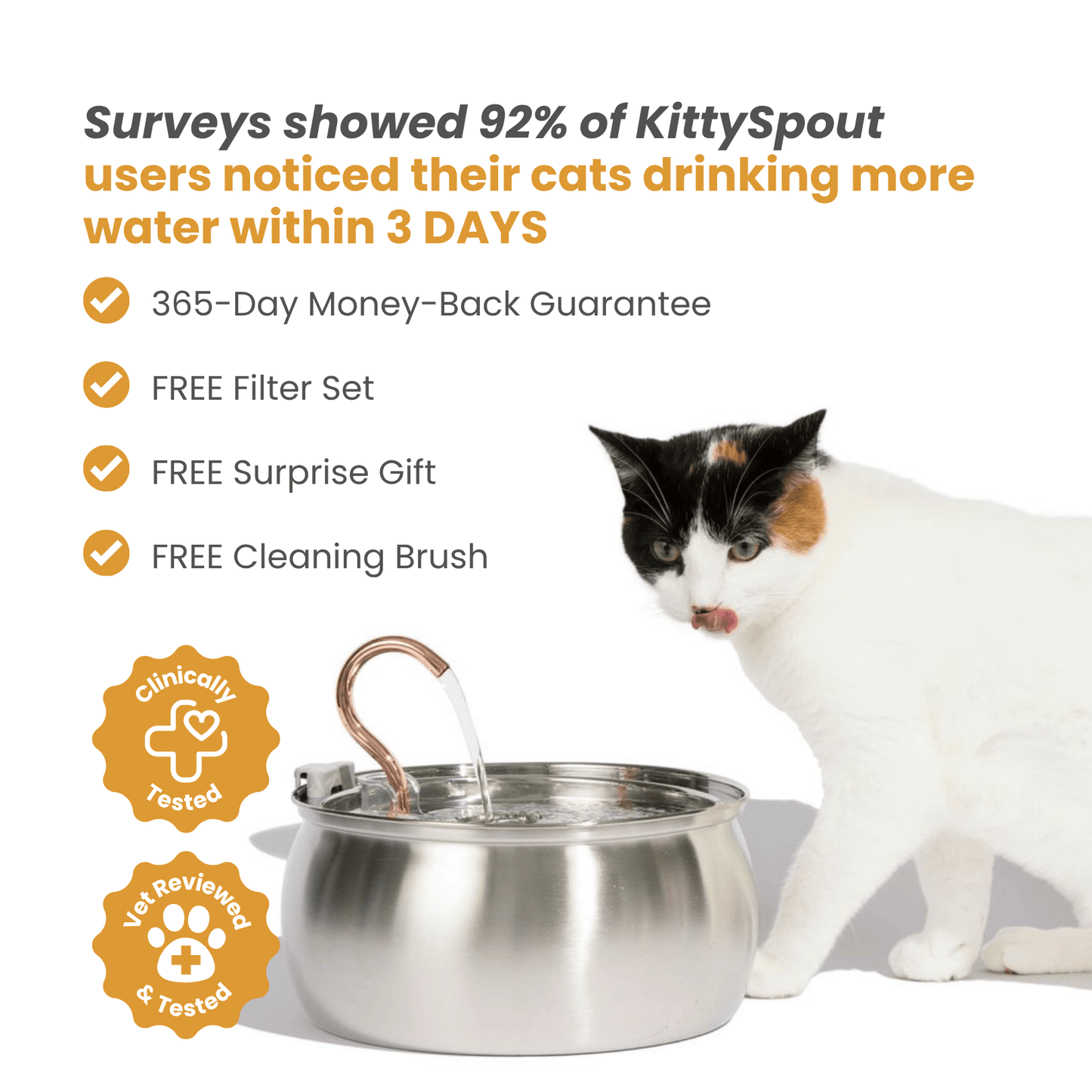 Der KittySpout™ - Gesundheits- und Glückskit für Katzen
